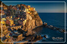 Manarola (350)