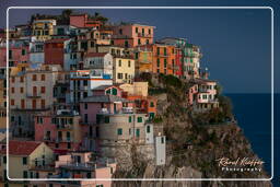 Manarola (384)