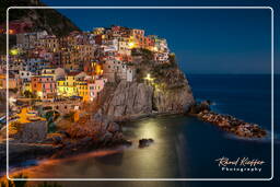 Manarola (403)