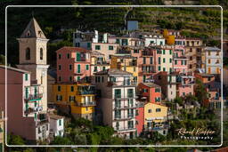 Manarola (409)