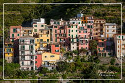 Manarola (413)