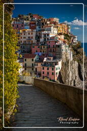 Manarola (422)