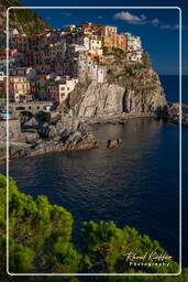 Manarola (444)