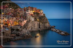 Manarola (499)