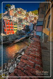 Riomaggiore (136)