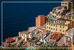 Riomaggiore (197)