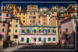 Riomaggiore (210)