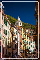 Riomaggiore (214)