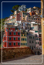 Riomaggiore (342)