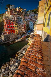 Riomaggiore (403)