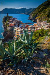 Vernazza (124)