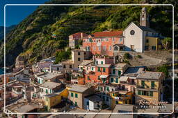 Vernazza (146)