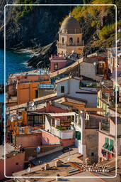 Vernazza (159)