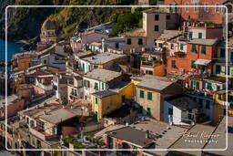 Vernazza (160)