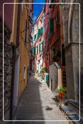 Vernazza (361)