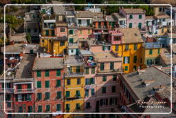 Vernazza (439)