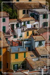 Vernazza (479)