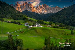 Dolomiti (498) Santa Maddalena (Funes)