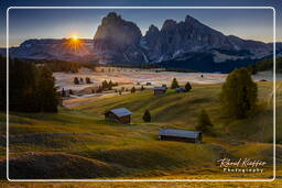 Dolomiti (706) Seiser Alm - Langkofel (3.181 m)