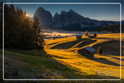 Dolomiti (748) Seiser Alm - Langkofel (3.181 m)