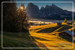 Dolomiti (769) Seiser Alm - Langkofel (3.181 m)