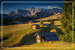 Dolomiti (818) Seiser Alm - Rosengarten (3.001 m)