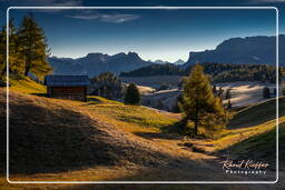 Dolomiti (838) Alpe di Siusi