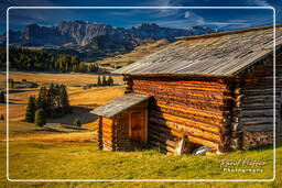 Dolomiti (908) Seiser Alm - Catinaccio (3.001 m)