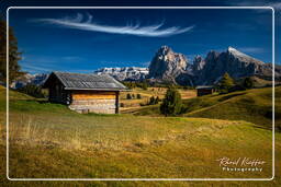 Dolomiti (968) Alpe de Siusi - Sassolungo (3 181 m)