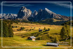 Seiser Alm - Sassolungo (3.181 m), Dolomites (988)