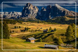 Seiser Alm - Sassolungo (3.181 m), Dolomites (1028)