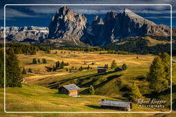 Dolomiti (1028) Alpe di Siusi - Sassolungo (3.181 m)