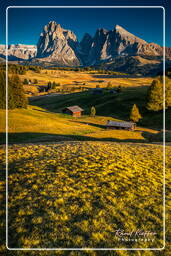 Dolomiti (1108) Alpe de Siusi - Sassolungo (3 181 m)