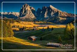 Seiser Alm - Sassolungo (3.181 m), Dolomites (1133)
