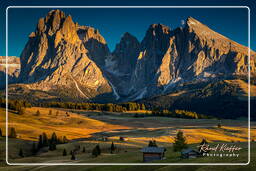 Dolomiti (1153) Seiser Alm - Langkofel (3.181 m)