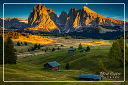 Dolomiti (1196) Seiser Alm - Langkofel (3.181 m)