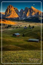 Dolomiti (1210) Seiser Alm - Langkofel (3.181 m)