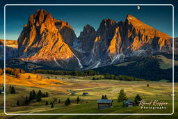 Seiser Alm - Sassolungo (3.181 m), Dolomites (1217)
