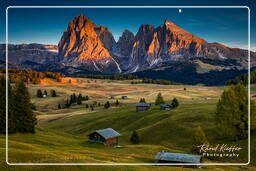 Dolomiti (1245) Alpe de Siusi - Sassolungo (3 181 m)