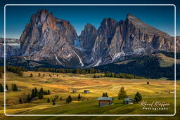 Dolomiti (1273) Seiser Alm - Langkofel (3.181 m)