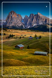 Dolomiti (1280) Seiser Alm - Langkofel (3.181 m)