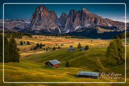 Seiser Alm - Sassolungo (3.181 m), Dolomites (1287)