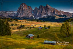 Dolomiti (1287) Seiser Alm - Langkofel (3.181 m)