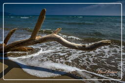 Marina di Alberese (4)