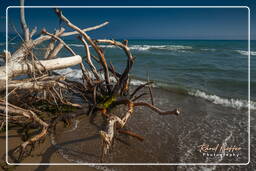 Marina di Alberese (10)