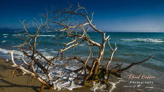 Marina di Alberese (13)