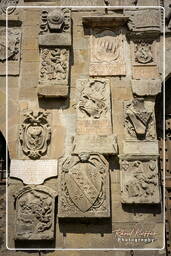 Arezzo (13)