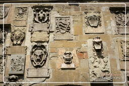 Arezzo (15)