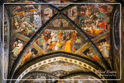 Santi Pietro e Donato (Duomo), Arezzo (38)