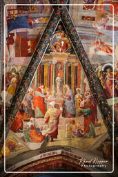 Santi Pietro e Donato (Duomo), Arezzo (40)